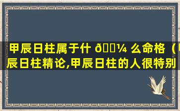 甲辰日柱属于什 🐼 么命格（甲辰日柱精论,甲辰日柱的人很特别）